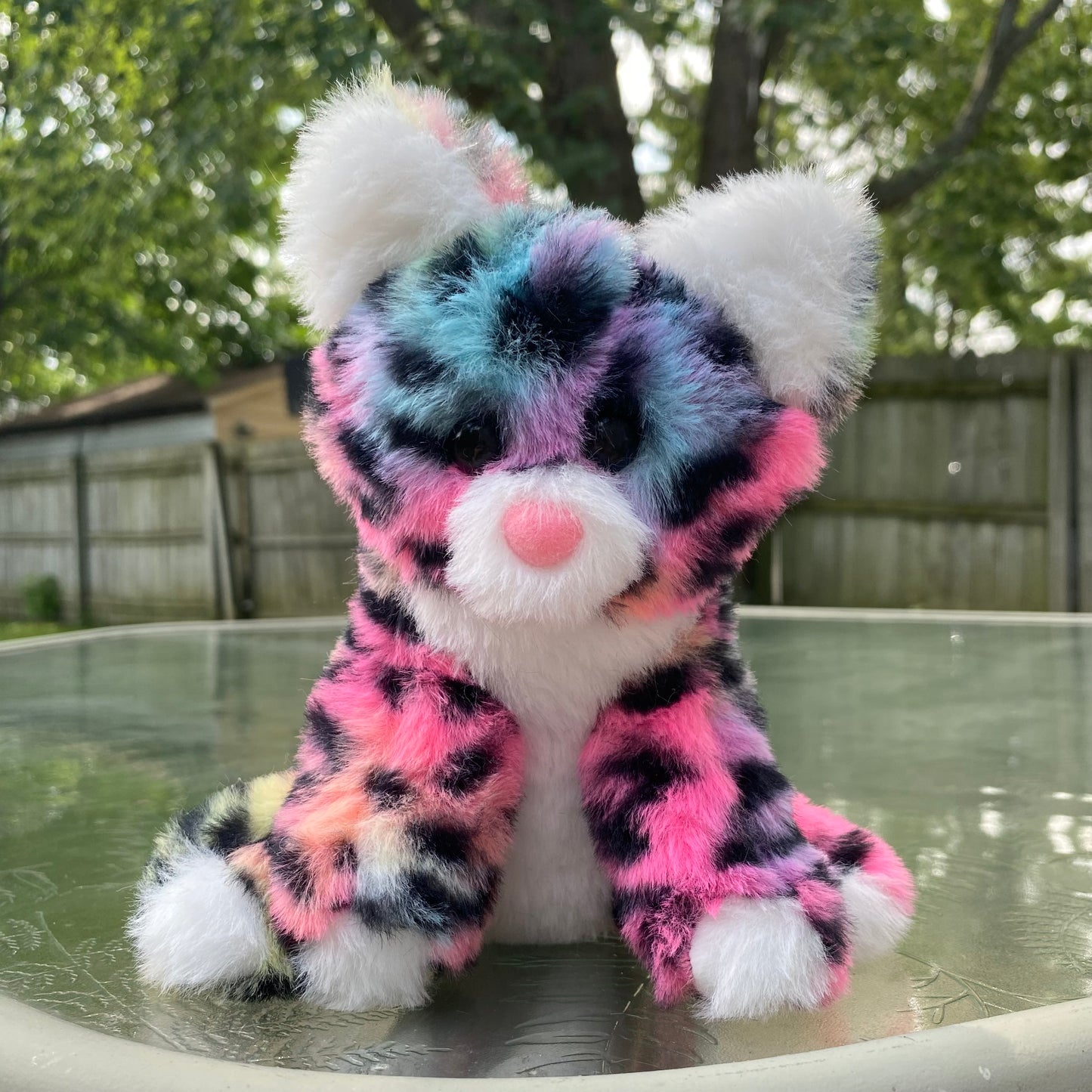 Sittin’ Kitten - Rainbow Leopard